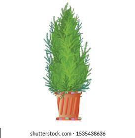 Cypress, Southern Evergreen Coniferous Tree With A Pyramidal Crown.
In A Ceramic Pot With A Mosaic. For Home And Office Decor. Isolated Image On A White Background. Vector Graphics.