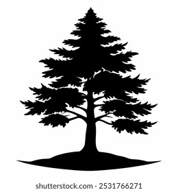 Cypress tree on black silhouette