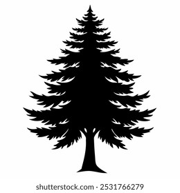 Cypress tree on black silhouette