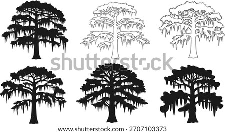 Cypress tree silhouette vector illustration, hanging moss botanical design, swamp forest nature art, southern landscape elements, decorative foliage concept, creative black drawing inspiration