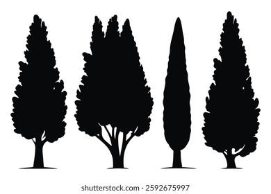 Cypress Tree silhouettes set isolated flat vector illustration on white background.