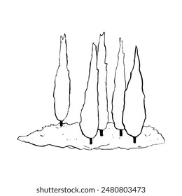 Cypress trees grove simple line vector illustration. Coniferous evergreen plants on grass hill. Black and white landscape element. Hand-drawn nature sketch