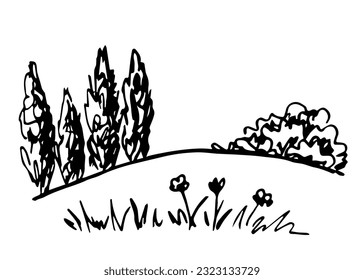 Cypress trees, pyramidal poplar, bushes, grass and flowers. Lawn, forest edge, vegetation. Nature, summer landscape. Simple black outline vector drawing. Sketch in ink.