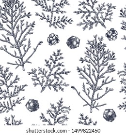 Cypress vector background. Christmas seamless pattern. Evergreen tree botanical drawings. Hand drawn conifer plant. Perfect for Christmas design, greeting cards, banner, decoration or packaging. 