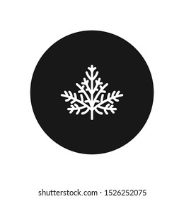 Cypress vector icon, simple sign for web site and mobile app.