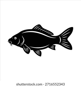 Carpa común de Cyprinus carpio aislada en blanco. Peces de agua dulce Populares conocidos por sus barbas distintivas, que a menudo se encuentran en lagos y ríos.