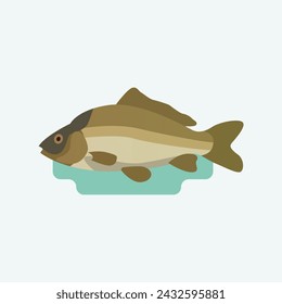 Cyprinus, carps fish. Flat style illustration.