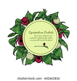 Cypripedium orchids card by hand drawing.Orchids vector card on white background.