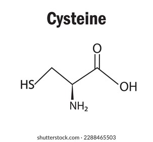 Cysteine amino acid  formula and structure. Chemical molecular formula  of cysteine . Study content for science students. Vector illustration.