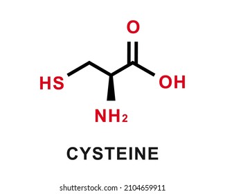 Cysteine chemical formula. Cysteine chemical molecular structure. Vector illustration