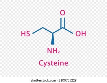 Cystein-chemische Formel Cystein strukturelle chemische Formel einzeln auf transparentem Hintergrund.