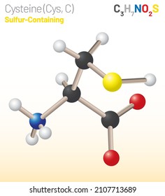 Cysteine (Cys, C) amino acid molecule. (Chemical formula C3H7NO2S) proteinogenic amino acid molecule. Ball-and-stick model. Layered vector illustration