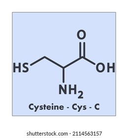 603 Cysteine Structure Images, Stock Photos & Vectors 