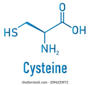 603 Cysteine structure Images, Stock Photos & Vectors | Shutterstock