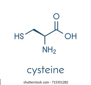 Cysteine (l-cysteine, Cys, C) amino acid molecule. Skeletal formula.