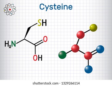 Cysteine Lcysteine Cys C Proteinogenic Amino Stock Vector (Royalty Free ...