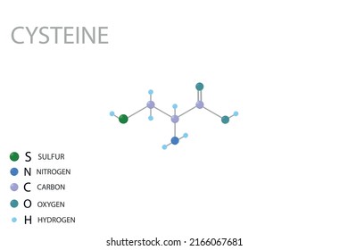 Cysteine molecular skeletal 3D chemical formula.