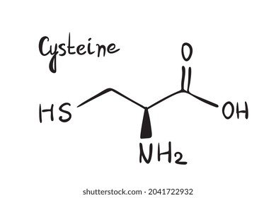 Cysteine molecule formula. Hand drawn imitation of cystine structural model, amino acid chemistry skeletal formula, cysteine vector icon symbol