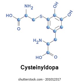 Cysteinyldopa molecule, vector illustration.
