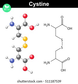 Cystine dipeptide molecular structure, cysteine dimer chemical formula, scientific 2d and 3d vector illsutration, isolated on white background, eps 10