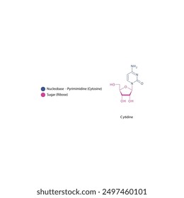Cytidine skeletal structure schematic illustration, Nucleoside molecule.