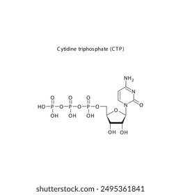 Cytidine triphosphate (CTP) skeletal structure schematic illustration, Nucleoside molecule.