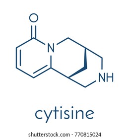 485-35-8-Cytisine-Wikipedia.org-Cytisine-cytisine-Sophorine-Baptitoxine -(1R,9S)-7,
