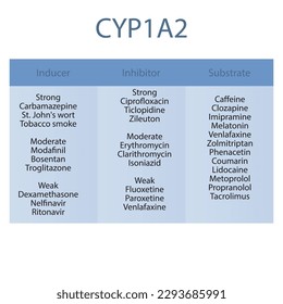 Cytochrom CYP1A2 Tabelle mit starken, mäßigen und schwachen Inhibitoren, Induktoren und Substraten mit Beispielen.