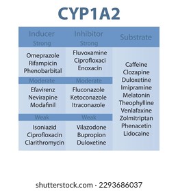Cytochrom CYP1A2 Tabelle mit starken, mäßigen und schwachen Inhibitoren, Induktoren und Substraten mit Beispielen.