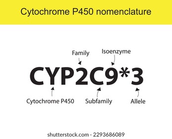 Cytochrome P450 CYP2D6 nomenclature diagram showing family, subfamily, enzyme and allele. Scientific illustration for biochemistry, pharmacology, biology education.