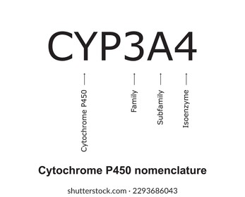 Cytochrome P450 CYP3A4 nomenclature diagram showing family, subfamily, enzyme and allele. Scientific illustration for biochemistry, pharmacology, biology education.