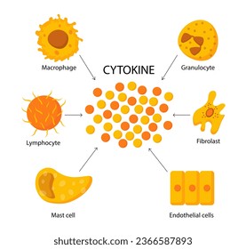 Cytokine structure concept. Chemical reactions and biology. Educational materials and infographics. Scheme of body cells. Cartoon flat vector illustration isolated on white background