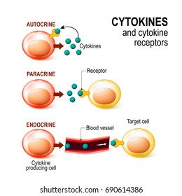 Cytokines and Cytokine receptor. signal transduction between cells. endocrine, paracrine and autocrine secretion