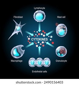 Zytokine. Proteine für Zellsignalisierung. Zytokine werden von Makrophagen, Lymphozyten, Mastzellen, Endothelzellen und Fibroblasten produziert. Zytokin-Sturm. Vektorillustration