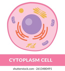 Cytoplasm Cell structure Vector Illustration