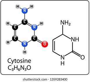 Cytosine Molecule Structure