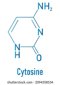 Cytosine pyrimidine nucleobase component. One of the bases found in DNA and RNA. Skeletal formula.