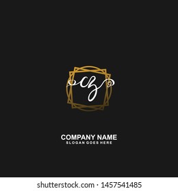 CZ Initial handwriting logo vector