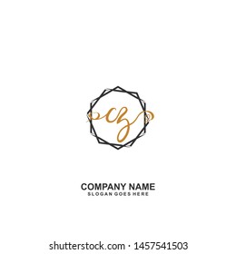 CZ Initial handwriting logo vector