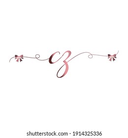 CZ Initial logo handwriting modern luxury fashion