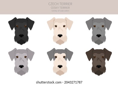 Czech terrier clipart. Different poses, coat colors set.  Vector illustration