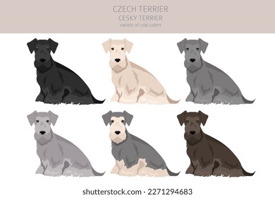 Czech terrier clipart. Different poses, coat colors set.  Vector illustration