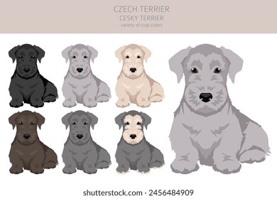 Czech terrier puppy clipart. Different poses, coat colors set.  Vector illustration