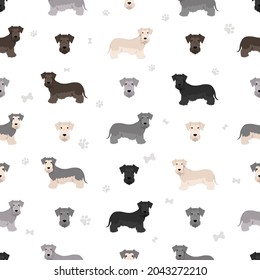 Czech terrier seamless pattern. Different poses, coat colors set.  Vector illustration