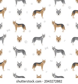 Czechoslovakian wolfdog seamless pattern. Different poses, coat colors set.  Vector illustration