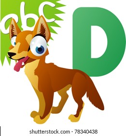 D is for Dingo