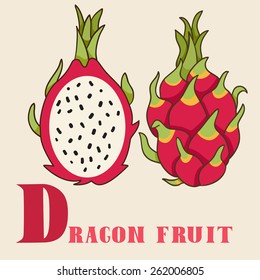 D for dragon fruit. Vector Illustration, hand-drawn style