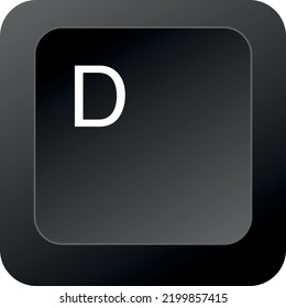 D key, button vector image