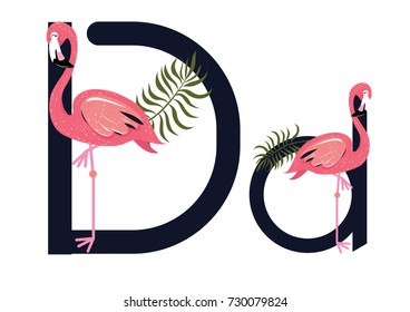 d Letter Flamingo Vector