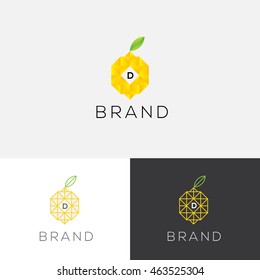 D letter fruits vector logo template